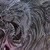 :iconroach103: