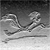 :iconroad-running: