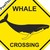 :iconroadkillwhale: