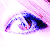 :iconroadrunner-35: