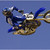 :iconroadrunner6: