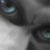 :iconroanesky: