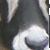 :iconroanserpentia: