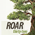 :iconroar32: