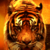 :iconroarshark: