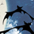 :iconrob-of-music: