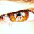 :iconrob-photo:
