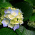 robban75 :iconrobban75:
