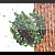 :iconrobbbi-faen: