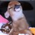 :iconrobby-angel: