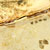 :iconrobch: