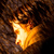 :iconrobcounts: