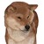 :iconrobelean08: