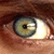 :iconrobert6688: