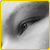 :iconroberth-photos: