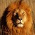 :iconroberticus90: