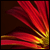 :iconRobertMichael:
