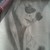 :iconrobertospalsh: