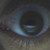 :iconrobertr313: