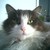 :iconrobertsm: