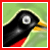:iconrobincanada: