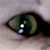 :iconrobinhood2: