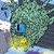 :iconrobinius: