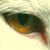 :iconrobinwhisker: