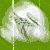 :iconrobo--bunny: