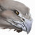 :iconrobo-dragon1: