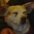 :iconrobot-cupcake: