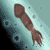 :iconrobot-squid:
