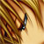 :iconrobotic-strawberry: