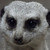 :iconrobtsphotos: