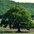 :iconroby0309: