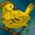 :iconroccaraven: