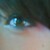 :iconrock-sushi: