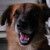:iconrockcrawler1: