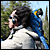 :iconrockerduk: