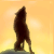 :iconrocketblizzard: