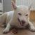:iconrockethamsterpower21: