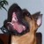 :iconrocketmonkey81: