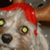 :iconrockin-stockins: