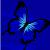 :iconrockinbutterfly: