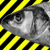 :iconrocklapin: