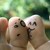 :iconrockmesox:
