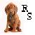 :iconrockwell--shaw: