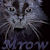 :iconrocky-raspberry: