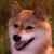 :iconrockyb63: