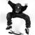 :iconrockyskate: